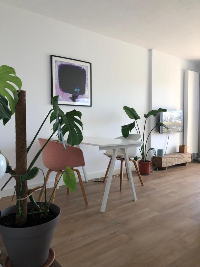Appartement Biarritz Sud Luaran gambar
